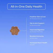 D○G Is Human Daily Multivitamin For Dogs (Beef Flavor) Vet-Formulated, Made In Vermont - Hương vị thịt bò - Xem 2