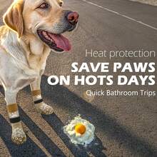 EXPAWLORER Anti Slip Dog Socks To Prevent Licking Paws, Dog Shoes Hot Pavement, Dog Booties Small Medium Large Senior Dogs, Traction Control Boots & Paw Protectors Hardwood Floors - 黑色 - 查看 3