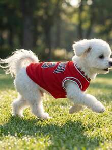 Pet Chicago #23 篮球球衣 蓝色 - 藍色 - 查看 3