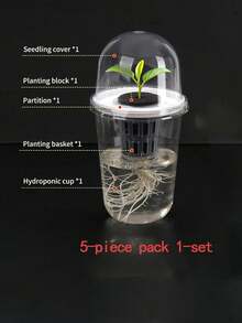 10pcs/2sets - Hydroponic Seedling Pots, Transparent Cylindrical Plastic Seedling Pots - Hydroponic Planting Set, Highly Transparent Hydroponic Cups, Transparent Design For Easy Root Growth Observation, Perforated Design To Promote Aeration And Prevent Root Suffocation, Suitable For Hydroponic Plant Propagation, Can Be Used As Office, Home Or Garden Decorations - A - View 11