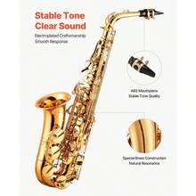 Alto Saxophone, E Flat, Brass Saxophone Beginner Kit With Carrying Case, Mouthpiece, Straps, Cleaning Cloth Rod, Gloves, Grease, Neck Strap, 23 Keys Alto Sax Kit, For Beginners Students, Gold - Alto Saxophone - 查看 3