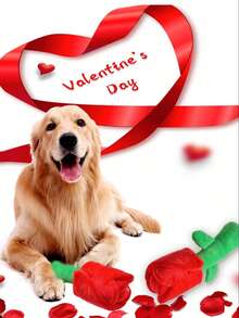 玫瑰花狗狗益智玩具，情人节毛绒狗狗玩具，带沙沙作响的垫子，填充玫瑰花狗狗玩具，适合小型、中型和大型犬 - 彩色 - 查看 3