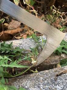 1 件装重型碳钢手动除草器，带人体工学手柄，适用于草坪和庭院 - 磚縫除草器 - 查看 9