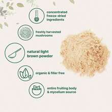 Bella Probiotics Iced Coffee  500g - 8 Oz - Xem 6