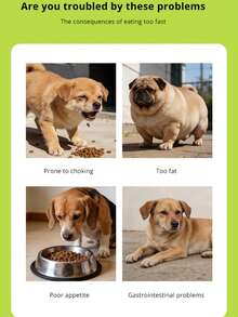 1pc Pet Slow Feeder Bowl, Anti-Choke Pet Water Bowl, Anti-Spill Dog Bowl, Dual-Use Slow Feeder & Water Bowl, Anti-Slip Interactive Treat Dispenser Dog Bowl - 500ml - View 9