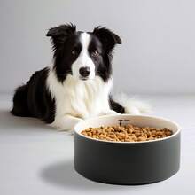 1个6.2英寸陶瓷宠物碗，带刻度线，黑色猫狗喂食碗，防滑平底水碗，适用于幼猫幼犬 - 300ml - 查看 6