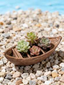 10件创意漂浮船装饰，适用于户外花园和庭院，可用于装饰游泳池、湖泊、池塘，以及庭院和花园水族箱、鱼缸、海滩场景、盆景景观、家居和办公室装饰。是春夏季节装饰的理想之选。 - A - 查看 6