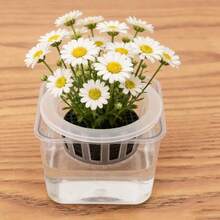 水培种植篮，带防漏膜，透明育苗杯，适用于花盆、玻璃花瓶、绿萝卜等无土栽培植物 - 籃子 - 查看 7