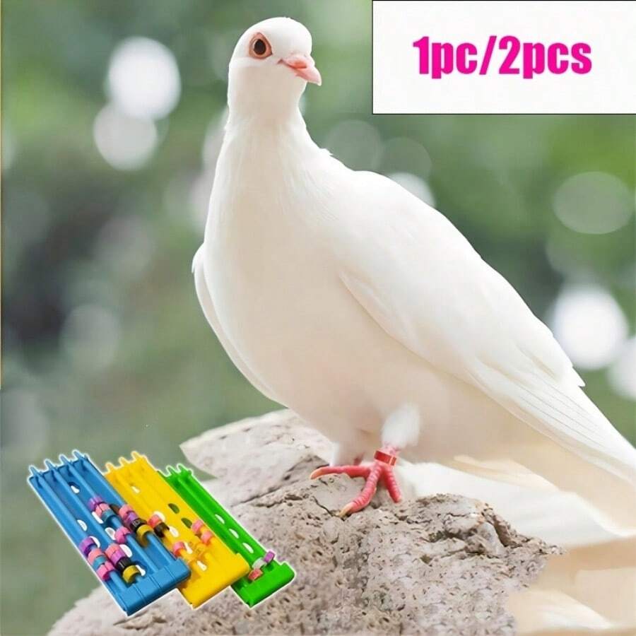 1/2个塑料环支架，鸽子腿环收纳架，训练腰带，框架式鸽子脚环支架 - 查看 1