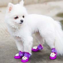 These Adorable Cartoon Monkey Pattern Rain Boots Can Protect Your Pet's Paws And Keep Them Dry! - Multicolor - View 6