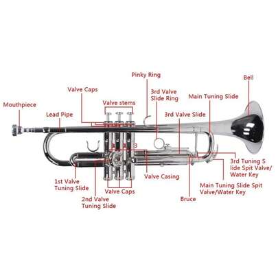 Ktaxon Bb B Plata pequeña con boquilla y guante
