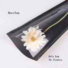 透明花束包装袋，牛皮纸花卉装饰袋 - 多色 - 查看 19