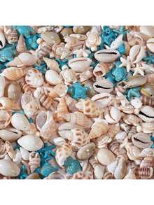 Conjunto de 30 pingentes sortidos de conchas naturais (estilo aleatório) para confecção de bijuterias DIY, incluindo pingentes de conchas, estrelas-do-mar e tartarugas, com furos para pulseiras, colares, brincos, tornozeleiras e acessórios. - Tamanho Único - Ver 4