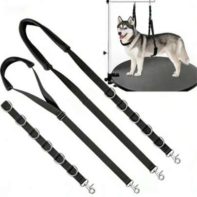 3pcs/Set Dog Grooming Belly Band & Chest Harness