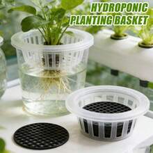 水培种植篮，带防漏膜，透明育苗杯，适用于花盆、玻璃花瓶、绿萝卜等无土栽培植物 - 籃子 - 查看 4