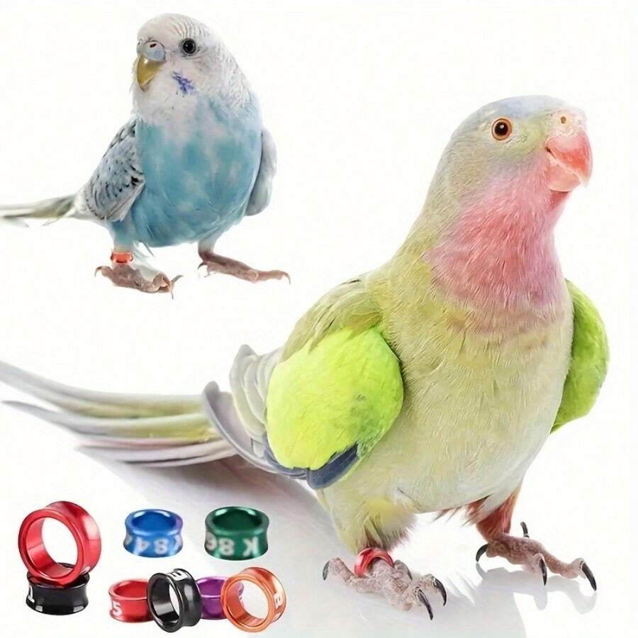 20 piezas Bandas de identificación para patas de aves de colores aleatorios, anillos de identificación de aluminio para aves, bandas de entrenamiento para palomas, adecuadas para loros, palomas - Ver 1