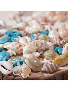 Conjunto de 30 pingentes sortidos de conchas naturais (estilo aleatório) para confecção de bijuterias DIY, incluindo pingentes de conchas, estrelas-do-mar e tartarugas, com furos para pulseiras, colares, brincos, tornozeleiras e acessórios. - Tamanho Único - Ver 2
