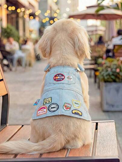 1pc Pet Clothes, Outdoor & Indoor Apparel For Small Dogs & Puppies, European & Korean Style Casual Fashion Cute Comfortable Harness Dress With Buckle & Vintage Badge