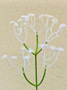 1pc/2pcs Bow Toothbrush Holder & Toothpaste Storage Rack, Bathroom Countertop Organizer - Multicolor - View 11