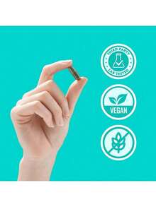 Internal Deodorant Supplement – Full Body Deodorizer For Gut Health, Skin Health, Detox & Digestion Support – Natural Odor Control Chlorophyll Pills|   30 Capsules - 30 片(1 包) - 查看 7
