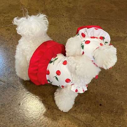 Cherry Stylish Swimsuit Costume For Small Dogs, Dress+Sun Hat, Puppy Bathing Suit, Soft Outfit Pet Apparel For Beach, Pool And Summer Fun