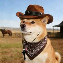 Western Style Pet Cowboy Hat And Scarf Set, Star Decor Pet Hat With Patterned Scarf, Suitable For Small Dogs And Cats - Brown - View 5