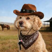 Western Style Pet Cowboy Hat And Scarf Set, Star Decor Pet Hat With Patterned Scarf, Suitable For Small Dogs And Cats - Brown - View 6