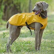 1 buah Jas Hujan Anjing yang Dapat Diatur, Jaket Anjing Tahan Air Reflektif dengan Lubang Tali, Pakaian Anjing Anti Angin Berkerudung, Cocok untuk Anjing Besar, Sedang, dan Kecil - Emas - View 15