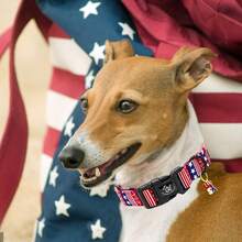 Elegant Tail Design Pet Collar, Adjustable Soft Plastic Buckle Collar For Small/Medium/Large Dogs, Patriotic Pet Gift - Red Violet - View 5