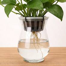 水培种植篮，带防漏膜，透明育苗杯，适用于花盆、玻璃花瓶、绿萝卜等无土栽培植物 - 籃子 - 查看 11