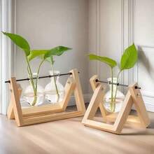Creative Hydroponic Plant Transparent Wooden Frame Vase Desktop Small Fresh Container Living Room Office Desk Modern Decoration Ornament, Ornament Green Ivy Creative - Multicolor - View 4