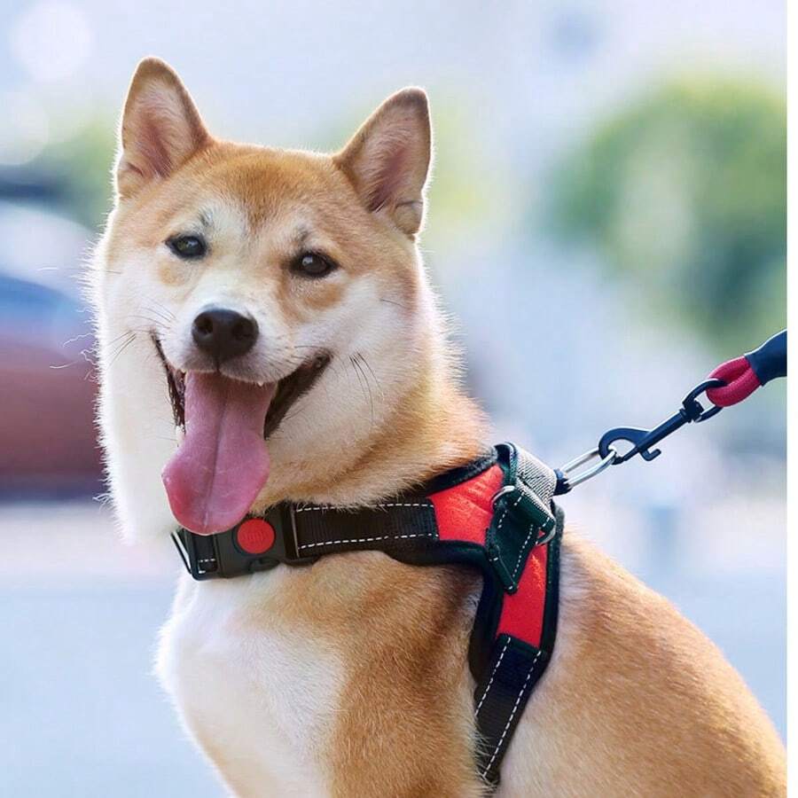 Langxingcs Pet Cat Dog Leash Set With Escape-Proof Adjustable Harness, Reflective Safety Strap And Collar, Soft Breathable Mesh Material - Hot Pink - View 1