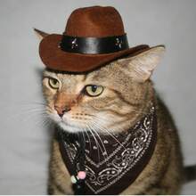 Western Style Pet Cowboy Hat And Scarf Set, Star Decor Pet Hat With Patterned Scarf, Suitable For Small Dogs And Cats - Brown - View 7