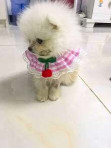 可爱樱桃格子宠物胸背带牵引绳套装，蕾丝边防拉扯狗狗背心带牵引绳，适合小型犬猫，博美犬遛狗用品 - 粉色 - 查看 3