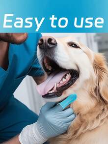 1/3支装，超柔软硅胶牙刷 - 非常适合清洁您的爱犬或爱猫的牙齿！ - 彩色 - 查看 11