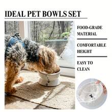 2pcs Elevated Cat Bowl Set With Double Stands | Premium Ceramic Food & Water Bowls | Neck Protection For Cats & Small Dogs, Non-Spill & Easy To Clean - 300ml - View 3