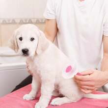 Self Cleaning Slicker Brush, Dog Bunny Pet Grooming Shedding Brush - Easy To Remove Loose Undercoat, Pet Massaging Suitable Pets With Long Or Short Hair Pink - Grey - View 7