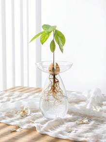 Haus Hana 7.5英寸牛油果造型玻璃花瓶，大型牛油果种植盆，玻璃材质，可用作牛油果种子发芽和生长花瓶、室内牛油果种植盆、牛油果种植套装、园艺爱好者礼物、生日毕业礼物、家居装饰、房间装饰花瓶、玻璃花瓶 - 無色 - 查看 4