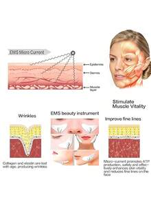 AXH. EMS面部按摩器，眼部提拉紧致，抗皱，V脸肌肉刺激美容仪 - 白色 - 查看 6