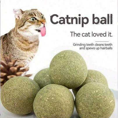 Cat Balls, Watercress, Chew Sticks, Cat - Natural Cat And Watercress - Suitable For Kittens And Adult Cats - Interactive Play And Oral Care - Excellent Gift For Cat Lovers