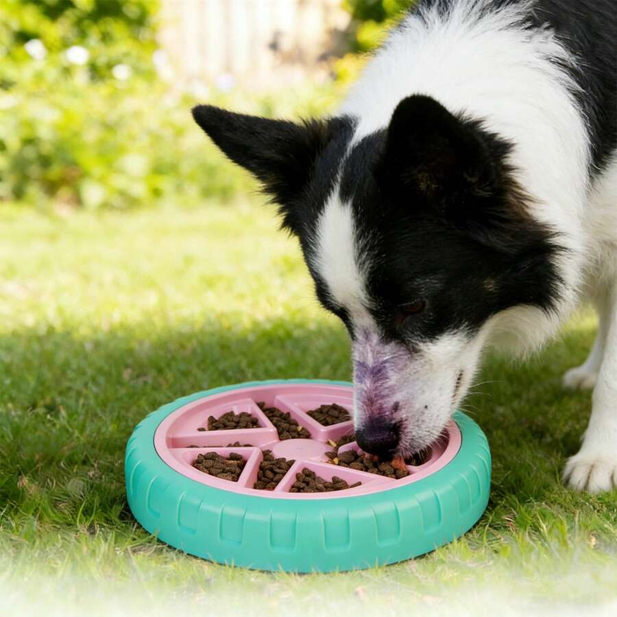 1pc Pet Slow Feeder Bowl, Anti-Choke Pet Water Bowl, Anti-Spill Dog Bowl, Dual-Use Slow Feeder & Water Bowl, Anti-Slip Interactive Treat Dispenser Dog Bowl - 500ml - View 1