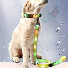 Correa luminosa recargable por USB y resistente al agua para perros, adecuada para perros medianos y grandes - Multicolor - Ver 3