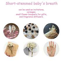 50/100 Pcs Pure White Artificial Mini Baby's Breath Flowers - Delicate, Easy DIY Craft Flowers For Wedding, Home And Office Decor, Party And Garden - Tabletop Boho Style Wreath, Featherless, No Electricity Required, Suitable For Christmas, Thanksgiving And Halloween Christmas Decorations Home Christmas Gifts Christmas Decor - 綠色和白色 - 查看 3