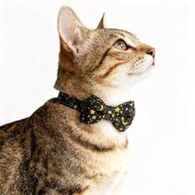 1件装可调节宠物项圈，带铃铛，饰有闪亮的星星和月亮图案，适合猫狗佩戴。 - 彩色 - 查看 5