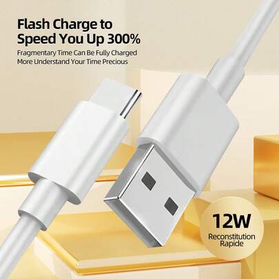 1.5米/4.9英尺 USB A 2.0 转 Type-C 12W 快充及数据传输线，兼容 P5 手柄、IP 17/16/15、安卓手机、平板电脑、游戏手柄、相机等。
