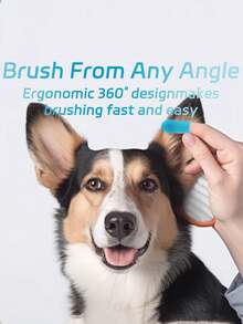 1/3支装，超柔软硅胶牙刷 - 非常适合清洁您的爱犬或爱猫的牙齿！ - 彩色 - 查看 9