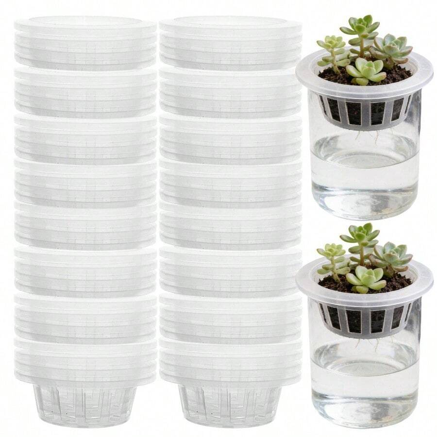 水培种植篮，带防漏膜，透明育苗杯，适用于花盆、玻璃花瓶、绿萝卜等无土栽培植物 - 籃子 - 查看 1