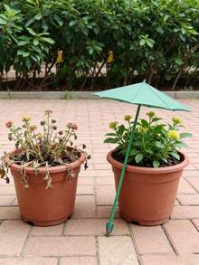 Conjunto de 3 hastes de sombreamento para plantas, ideais para áreas externas, incluindo vasos e hortas. Perfeitas para proteger plantas e flores durante a primavera, verão e outono. Também são ideais para decoração de jardins e feriados. - multicolorido - Ver 2