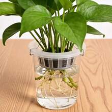 水培种植篮，带防漏膜，透明育苗杯，适用于花盆、玻璃花瓶、绿萝卜等无土栽培植物 - 籃子 - 查看 6