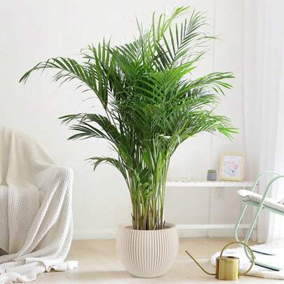 Chậu hoa tròn đa năng tối giản, kẻ sọc dọc, chất liệu dày dặn, trang trí cây cảnh trong nhà chất lượng cao.